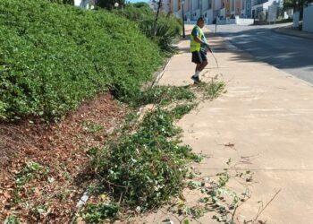 Limpieza y mantenimiento de espacios públicos en Casares Costa