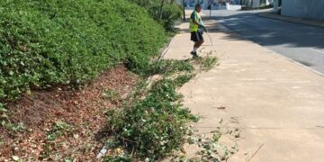 Limpieza y mantenimiento de espacios públicos en Casares Costa
