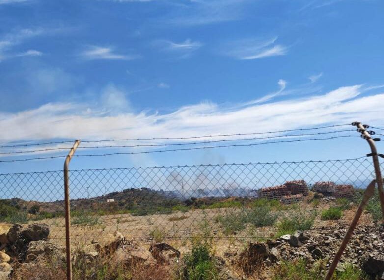 Declarado un incendio forestal en Marbella