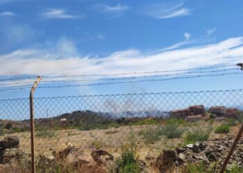 Declarado un incendio forestal en Marbella