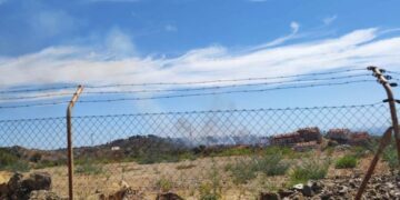 Declarado un incendio forestal en Marbella