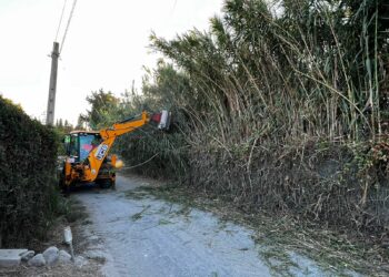 El Ayuntamiento de Estepona desbroza los cauces de de arroyos y ríos por zona urbana