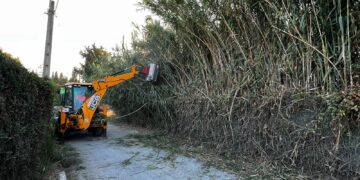 El Ayuntamiento de Estepona desbroza los cauces de de arroyos y ríos por zona urbana