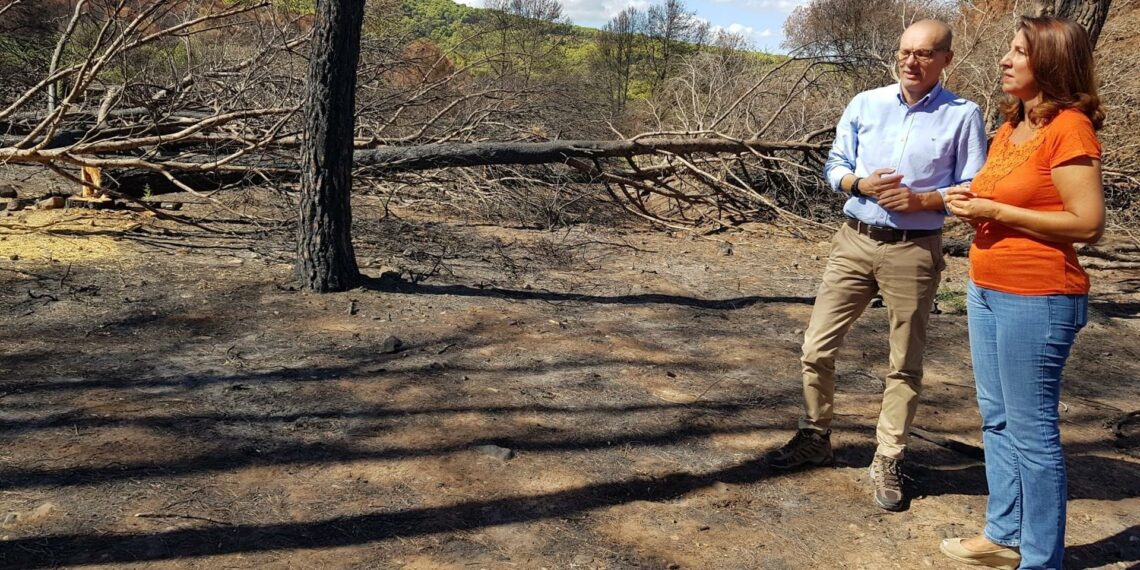 La Junta inicia las obras de emergencia para la regeneración de la Sierra de Mijas