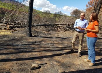 La Junta inicia las obras de emergencia para la regeneración de la Sierra de Mijas