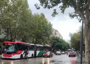IU Estepona insta a García Urbano a mejorar la iluminación de la Avenida Andalucía