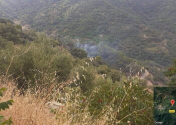 Extinguido el incendio forestal declarado el domingo en Jubrique