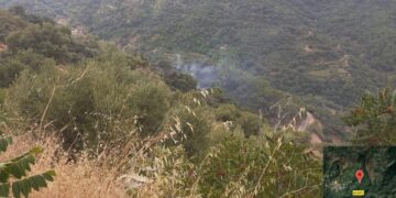 Extinguido el incendio forestal declarado el domingo en Jubrique