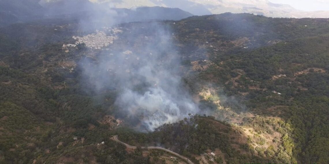 Declarado un incendio forestal en Jubrique, en el Valle del Genal