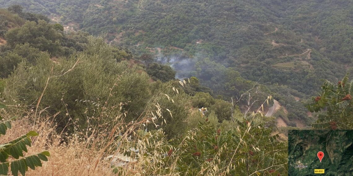 Estabilizado el incendio forestal declarado en Jubrique