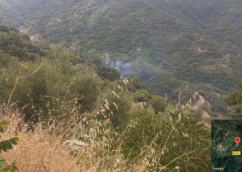 Estabilizado el incendio forestal declarado en Jubrique