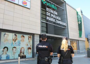 Tres detenidos por robar maletas y equipajes en el exterior de la estación María Zambrano de Málaga