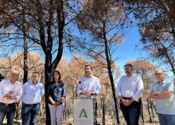 La Junta anuncia obras inmediatas en la Sierra de Mijas tras el incendio del pasado julio