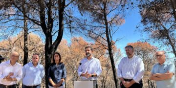La Junta anuncia obras inmediatas en la Sierra de Mijas tras el incendio del pasado julio