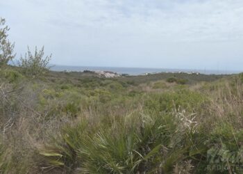 El yacimiento Alcorrín pasará a ser de titularidad municipal