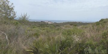 El yacimiento Alcorrín pasará a ser de titularidad municipal