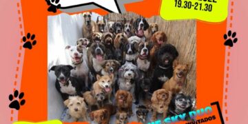 El coro ‘Love to sing’ actuará a beneficio de los animales abandonados