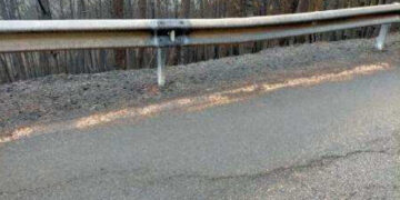 3,1 millones de euros para arreglar las carreteras afectadas por el incendio de Sierra Bermeja