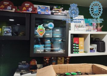 Un detenido e incautados más de seis kilos de drogas tras desmantelar un club cannábico