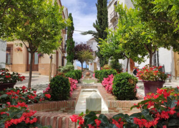Estepona recibe el premio ‘Málaga Viva’ por sus buenas prácticas ambientales