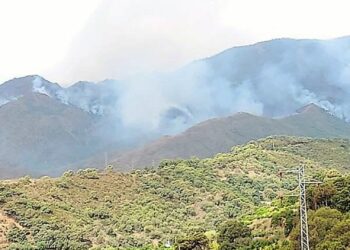 Los trabajos en el incendio de Sierra Bermeja de 2021 están al 91% de ejecución