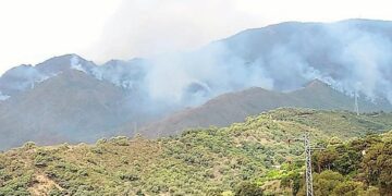 Los trabajos en el incendio de Sierra Bermeja de 2021 están al 91% de ejecución