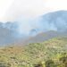 Los trabajos en el incendio de Sierra Bermeja de 2021 están al 91% de ejecución