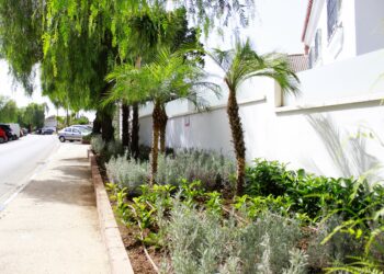 Marbella renueva sus jardineras en el núcleo de Nueva Andalucía