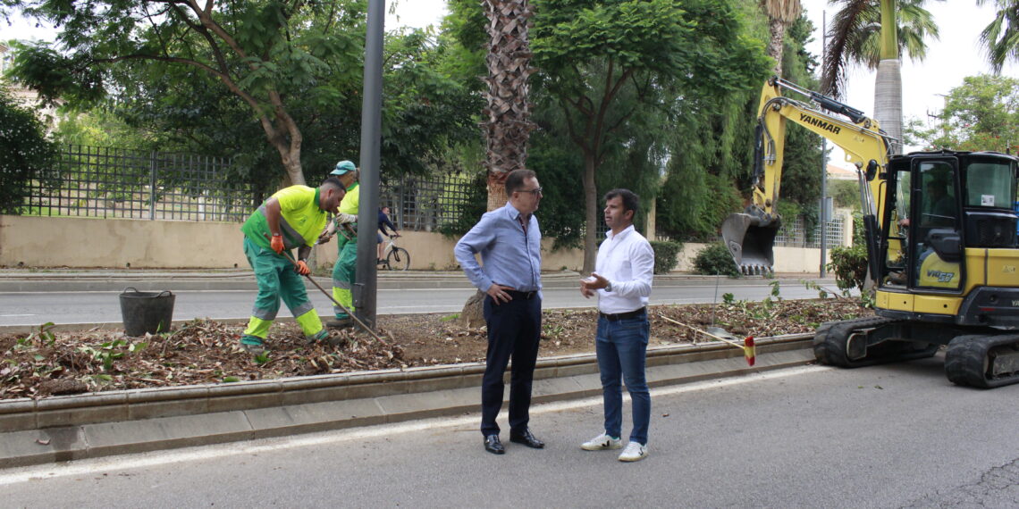 Renuevan el riego y los jardines de la Avenida Príncipe Salman en Marbella