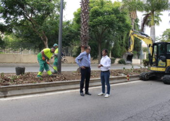 Renuevan el riego y los jardines de la Avenida Príncipe Salman en Marbella