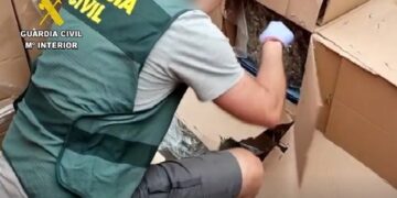 Desarticulado un grupo criminal dedicado al cultivo intensivo de marihuana en la provincia de Málaga