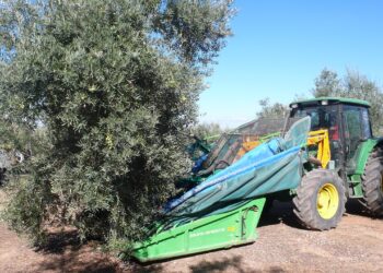 Más de 90 municipios contarán con refuerzo para la ITV agrícola para la campaña de la aceituna