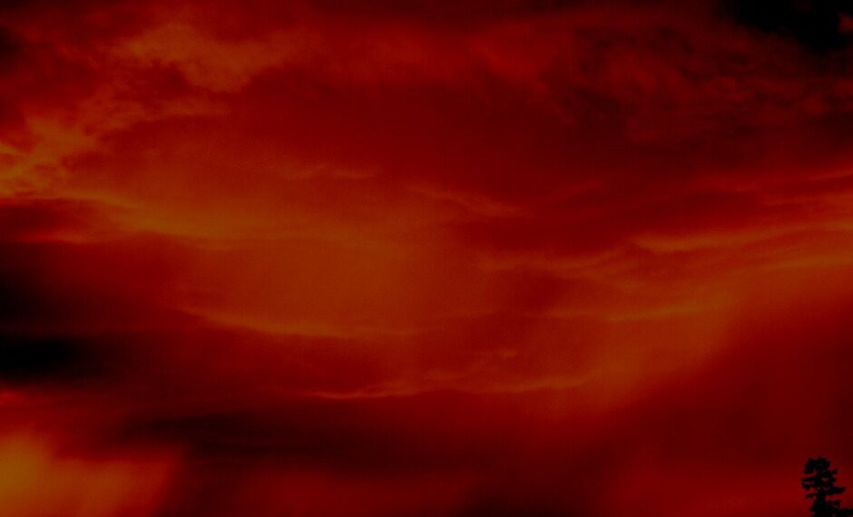 Estabilizado el incendio forestal que afecta a la zona alta de la Coja en Benahavís