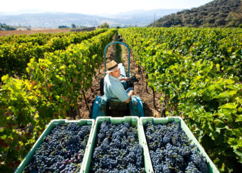 Estos son los ganadores de los Premios Paisaje Serrano de la Asociación Española de Geografía