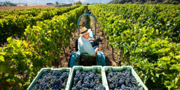 Estos son los ganadores de los Premios Paisaje Serrano de la Asociación Española de Geografía