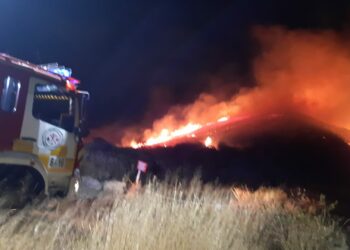 Declarado un incendio forestal en Benahavís
