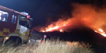 Declarado un incendio forestal en Benahavís