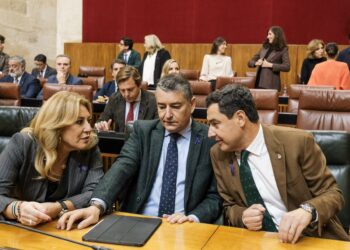 PSOE asegura que el «hedor de Marbella llega a Sevilla» y Sanz pide a los socialistas «salir del fango político»