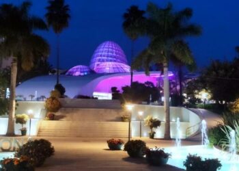 Estepona se una al ‘Día Internacional de la Eliminación de la Violencia contra las Mujeres’