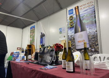 Vuelve el XIV Concurso de Vino de Manilva