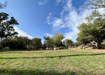 El Ayuntamiento de Fuengirola iniciará la próxima semana las obras de renovación integral del Parque Natural