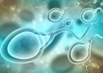 La calidad del esperma se ha reducido más de un 60% en solo 50 años en todo el mundo, según un estudio