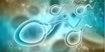 La calidad del esperma se ha reducido más de un 60% en solo 50 años en todo el mundo, según un estudio