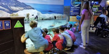 Familias de refugiados de la guerra de Ucrania visitan el Sea Life Benalmádena