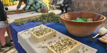 600 personas participan en el II Día Provincial contra el Cambio Climático