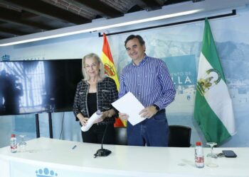 Marbella lleva a pleno la segunda modificación de las normas urbanísticas para acercarlas a la «realidad social»