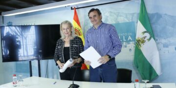 Marbella lleva a pleno la segunda modificación de las normas urbanísticas para acercarlas a la «realidad social»