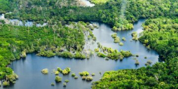 WWF alerta de que casi el 20% de los bosques amazónicos se ha perdido