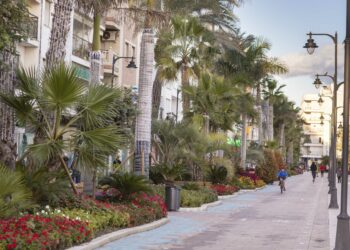 El Ayuntamiento de Estepona refuerza el embellecimiento floral con 37.000 plantas de Navidad