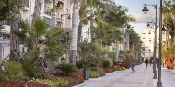 El Ayuntamiento de Estepona refuerza el embellecimiento floral con 37.000 plantas de Navidad